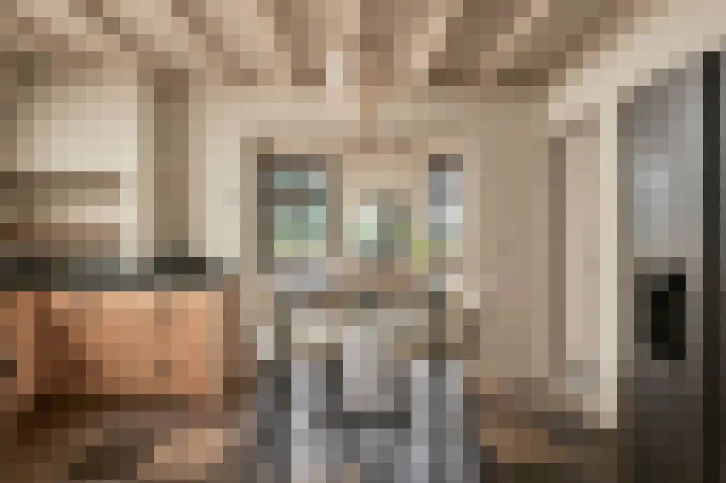 Trimpert 25 Mierlo thumbnail 8