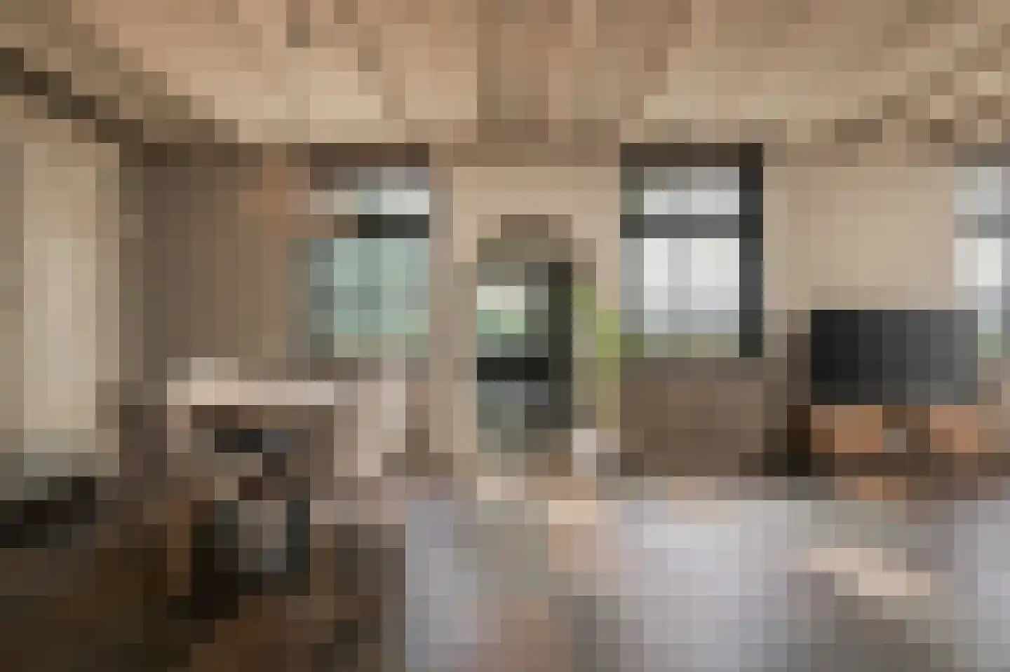 Trimpert 25 Mierlo thumbnail 9