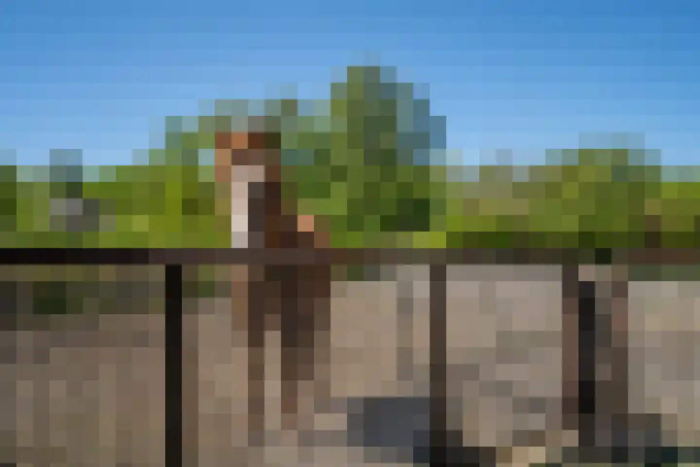 Trimpert 34 Mierlo foto 2
