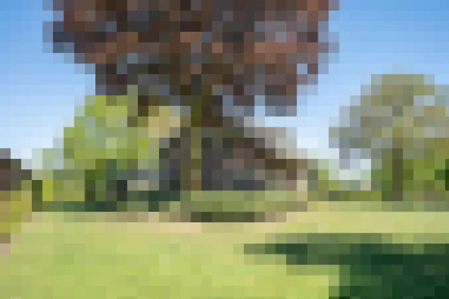 Trimpert 34 Mierlo foto 3