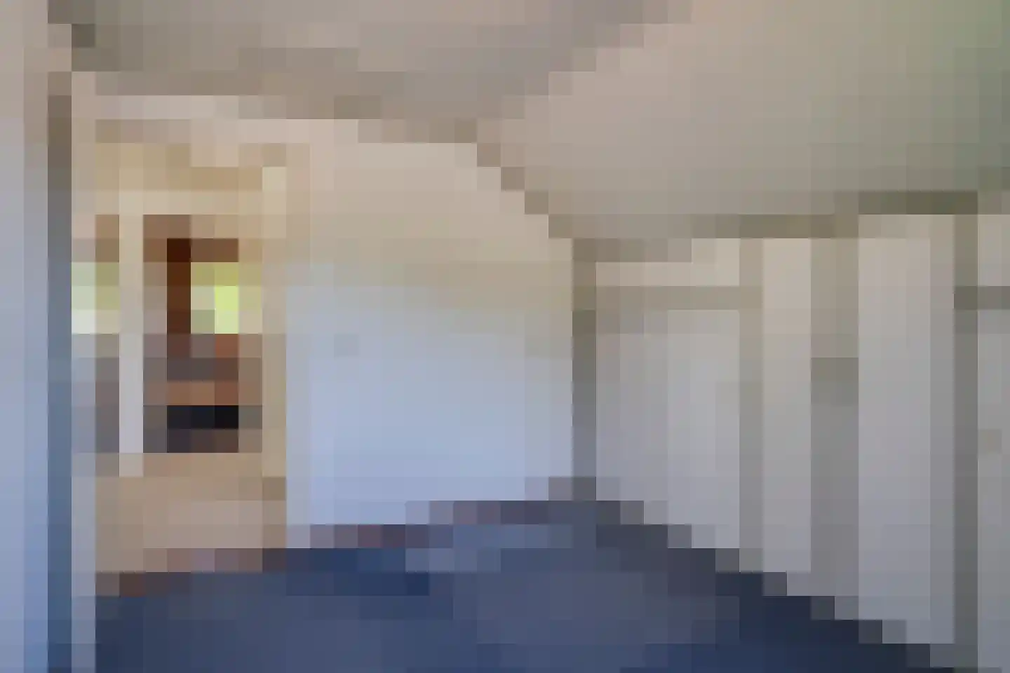 Trimpert 34 Mierlo thumbnail 30