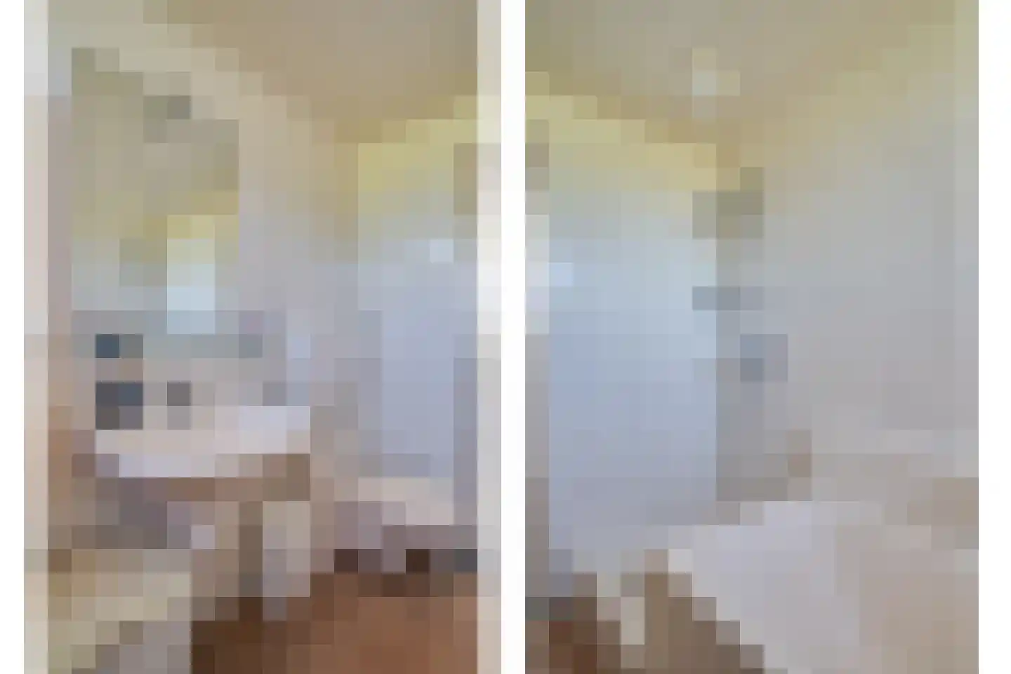 Trimpert 34 Mierlo thumbnail 36