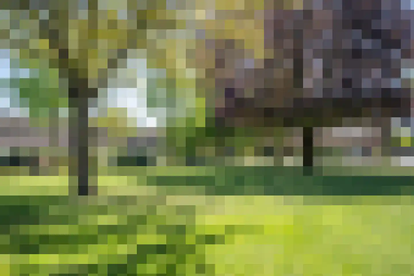 Trimpert 34 Mierlo thumbnail 39