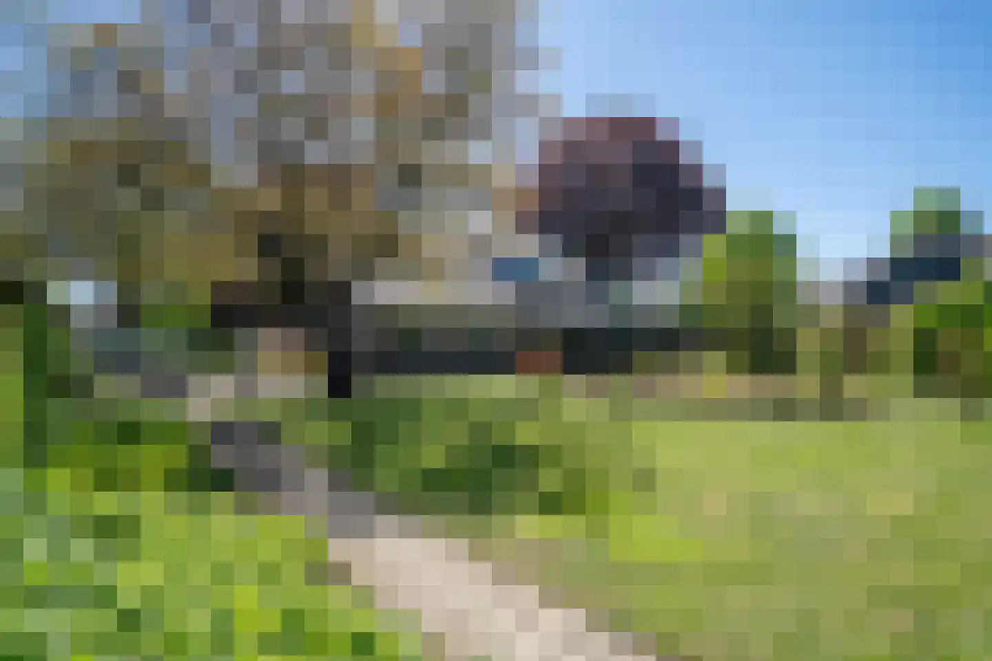 Trimpert 34 Mierlo thumbnail 43