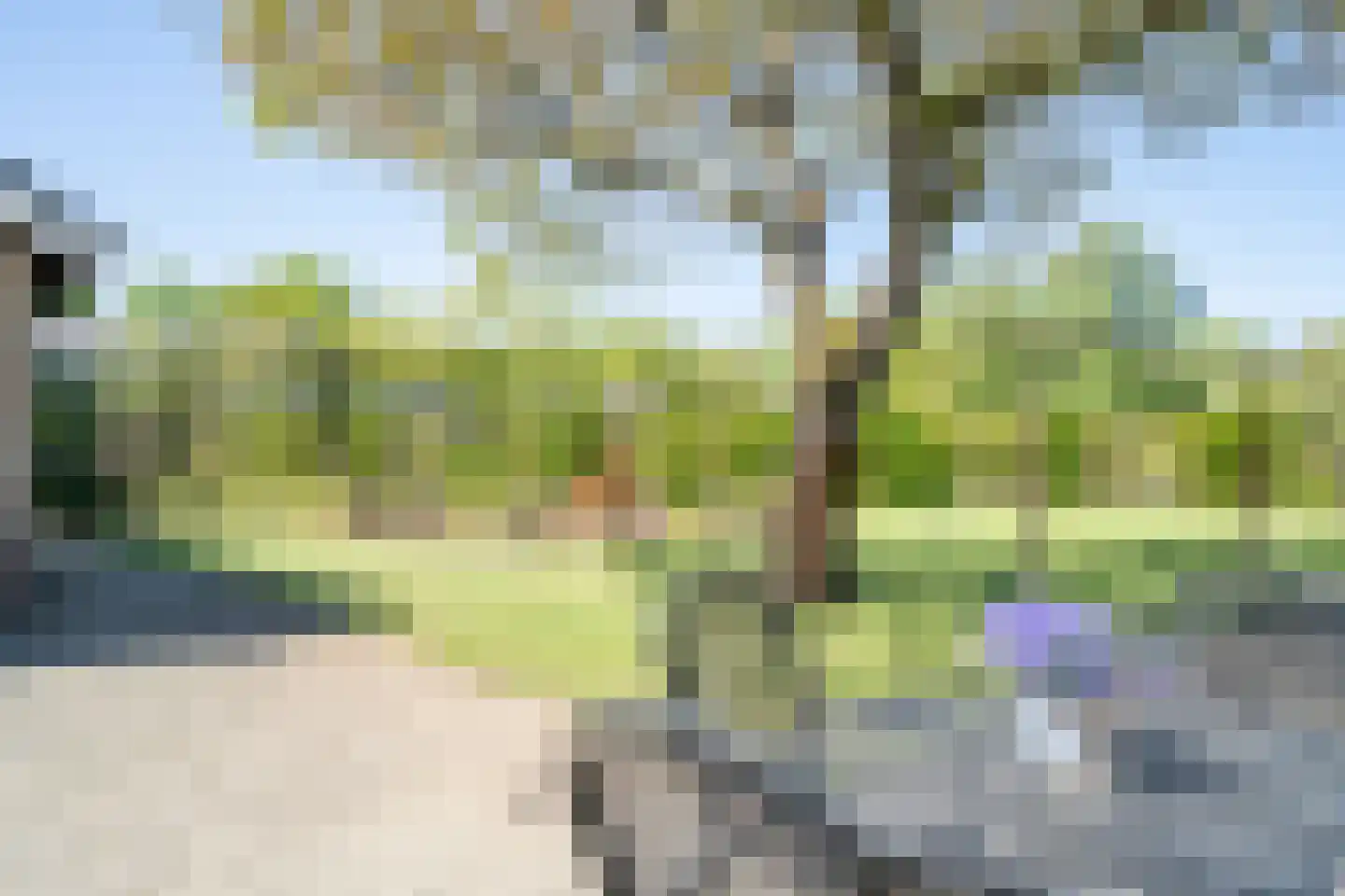 Trimpert 34 Mierlo thumbnail 49