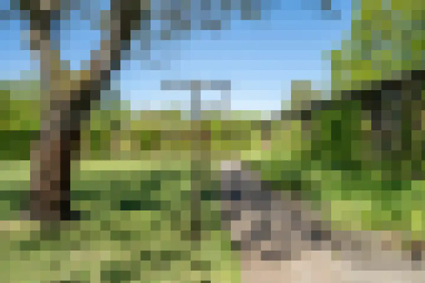 Trimpert 34 Mierlo thumbnail 50