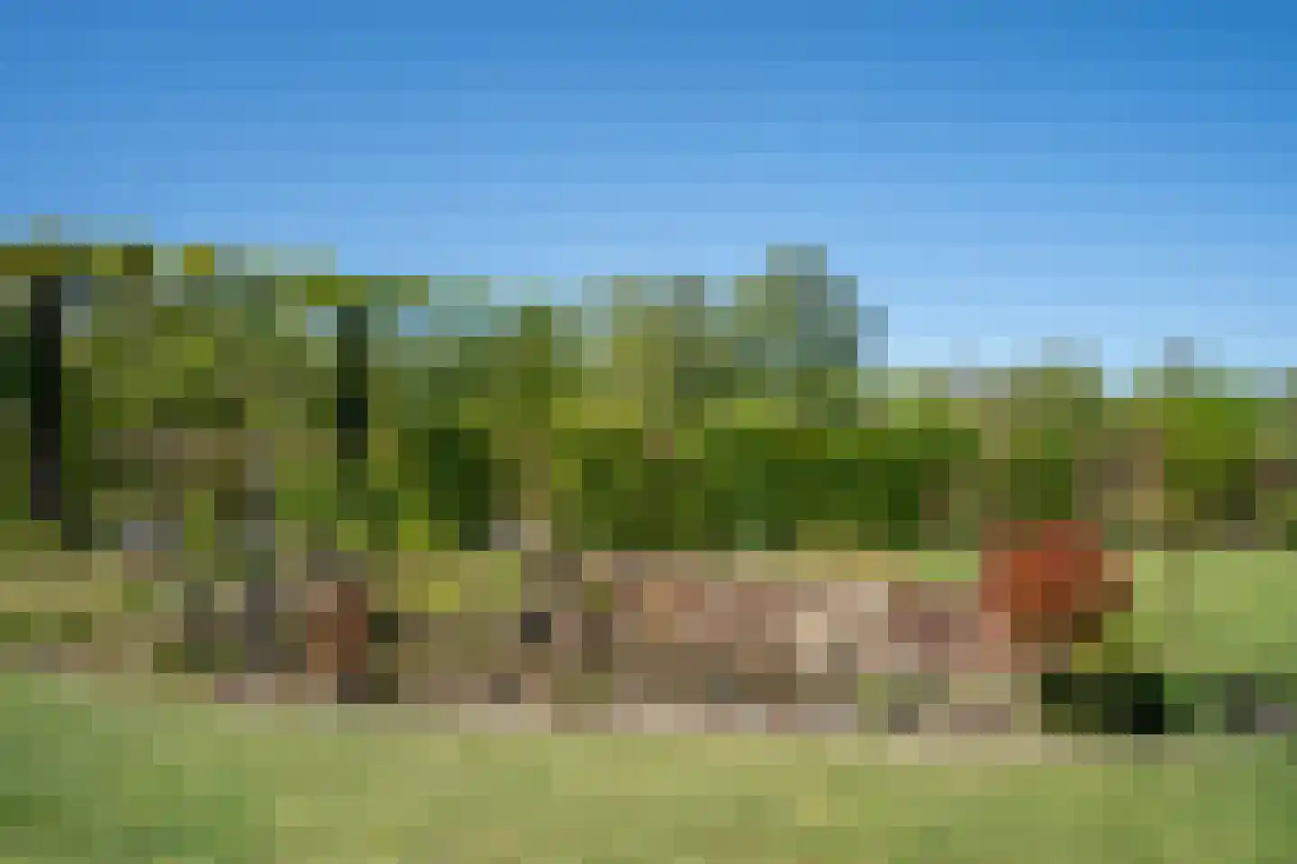 Trimpert 34 Mierlo thumbnail 52