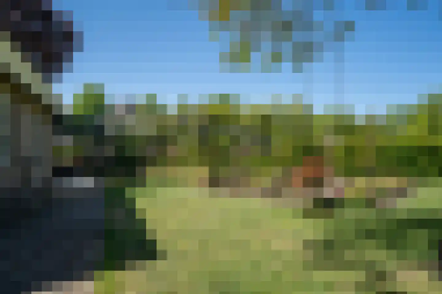 Trimpert 34 Mierlo thumbnail 6