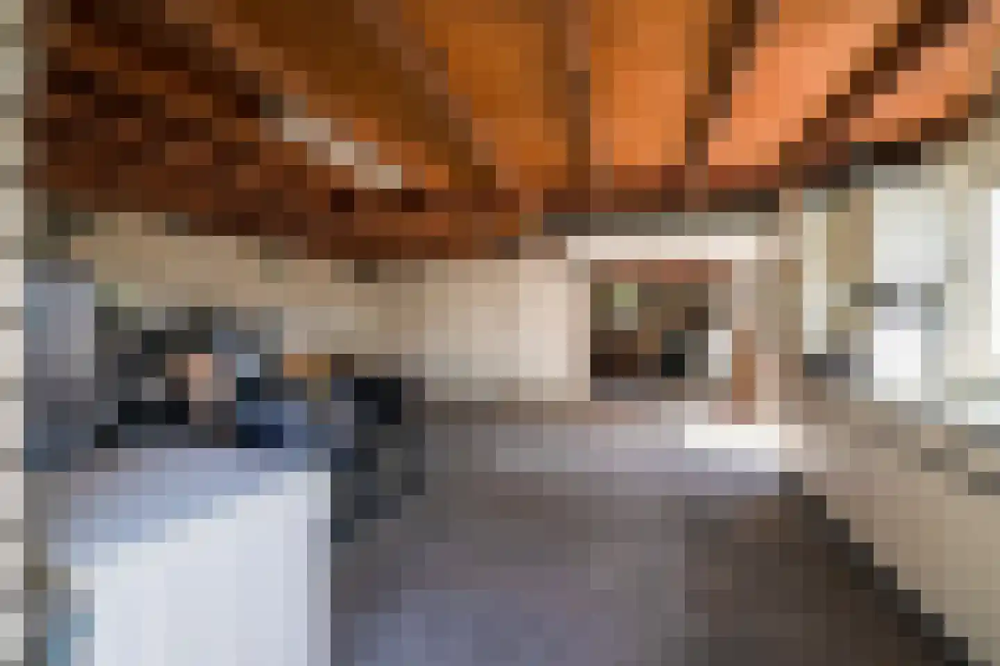 Trimpert 34 Mierlo thumbnail 65