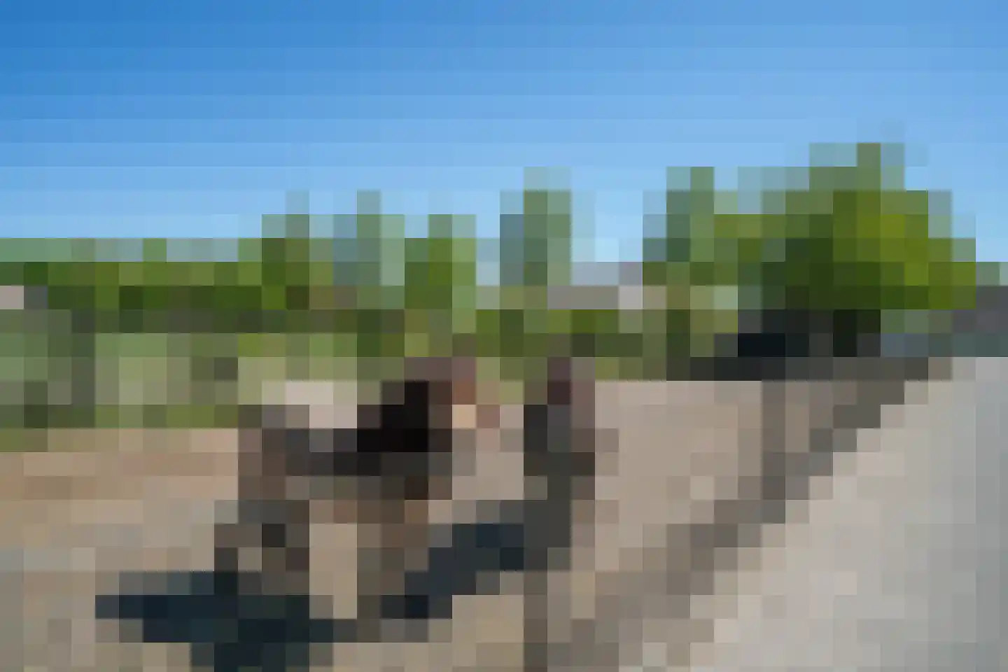 Trimpert 34 Mierlo thumbnail 71