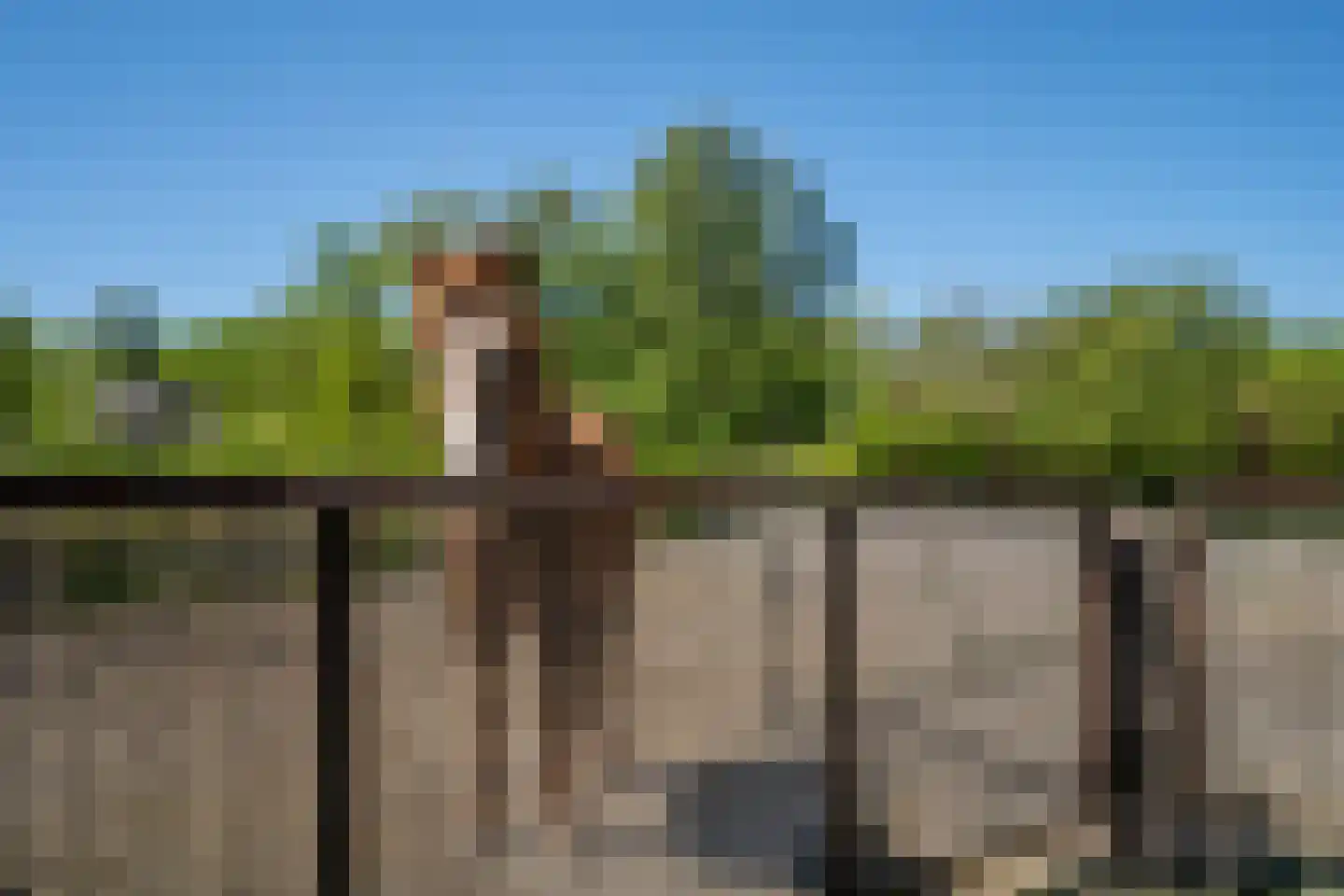 Trimpert 34 Mierlo thumbnail 9
