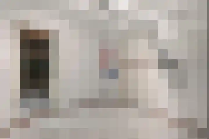 Trimpertstraat 9 Deurne thumbnail 23