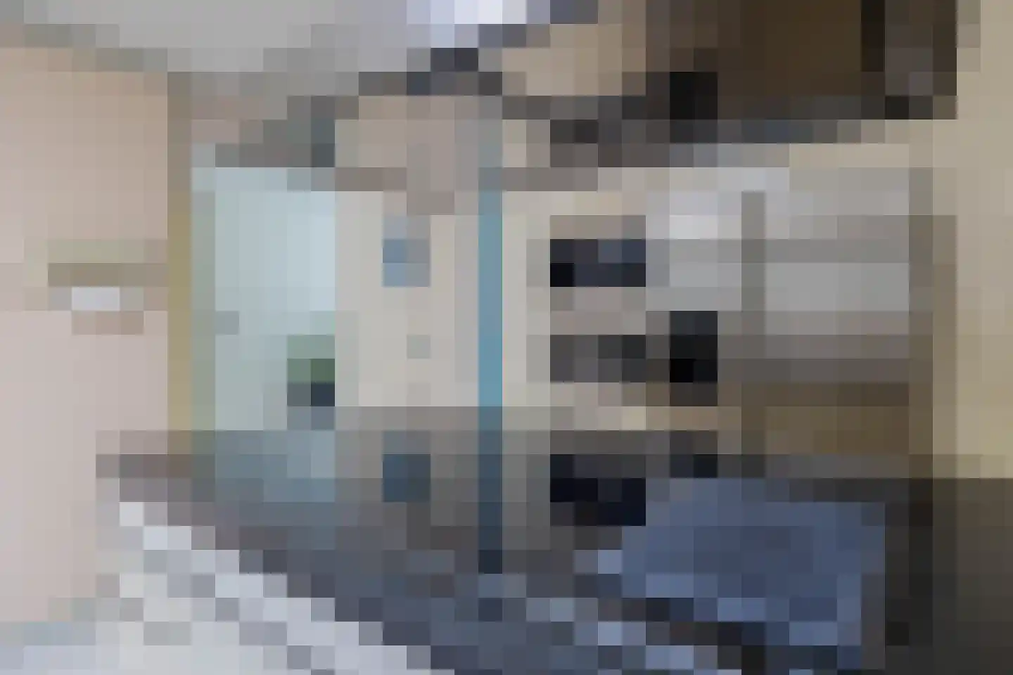 Trimpertstraat 9 Deurne thumbnail 30