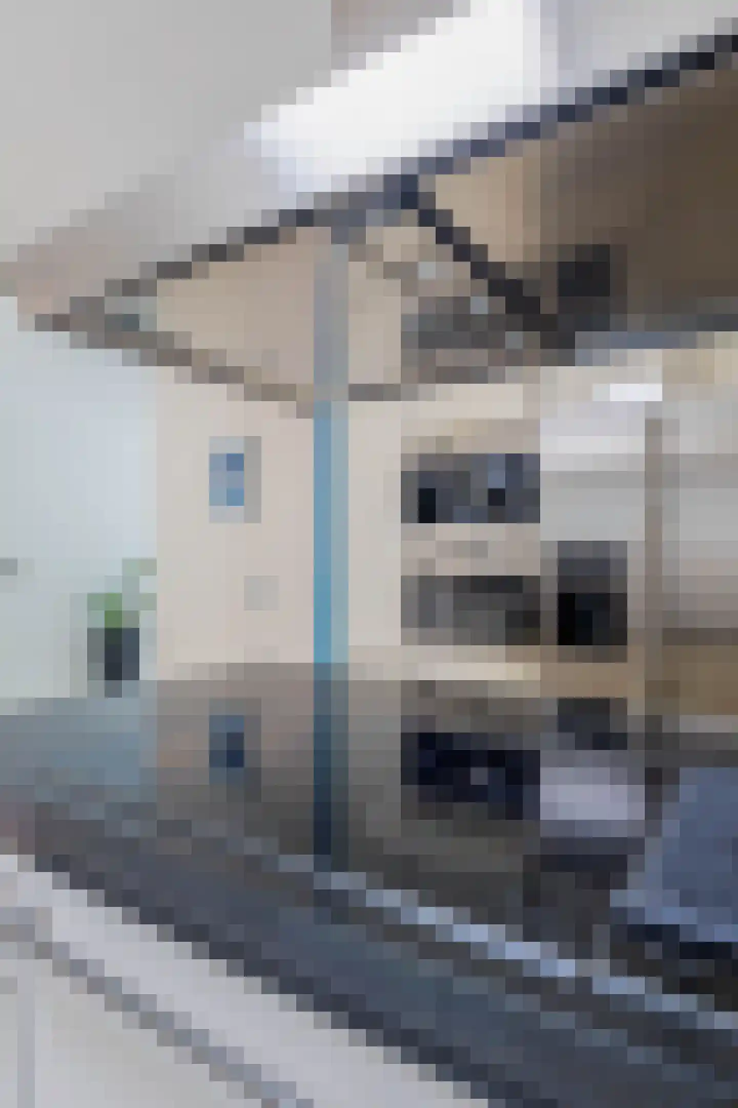 Trimpertstraat 9 Deurne thumbnail 31