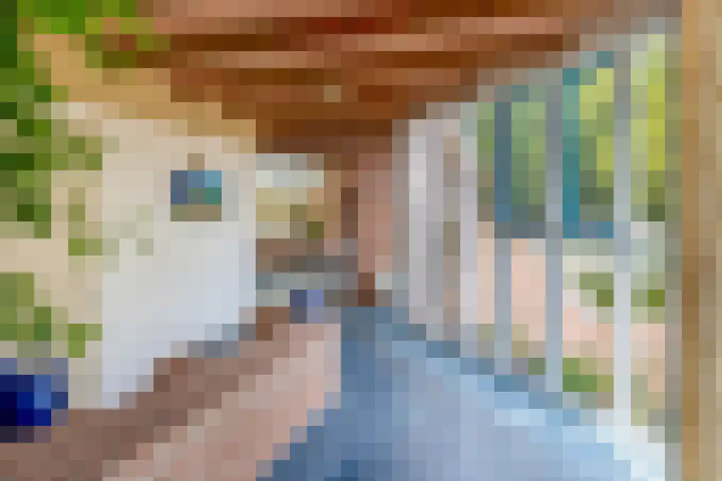 Trimpertstraat 9 Deurne thumbnail 39