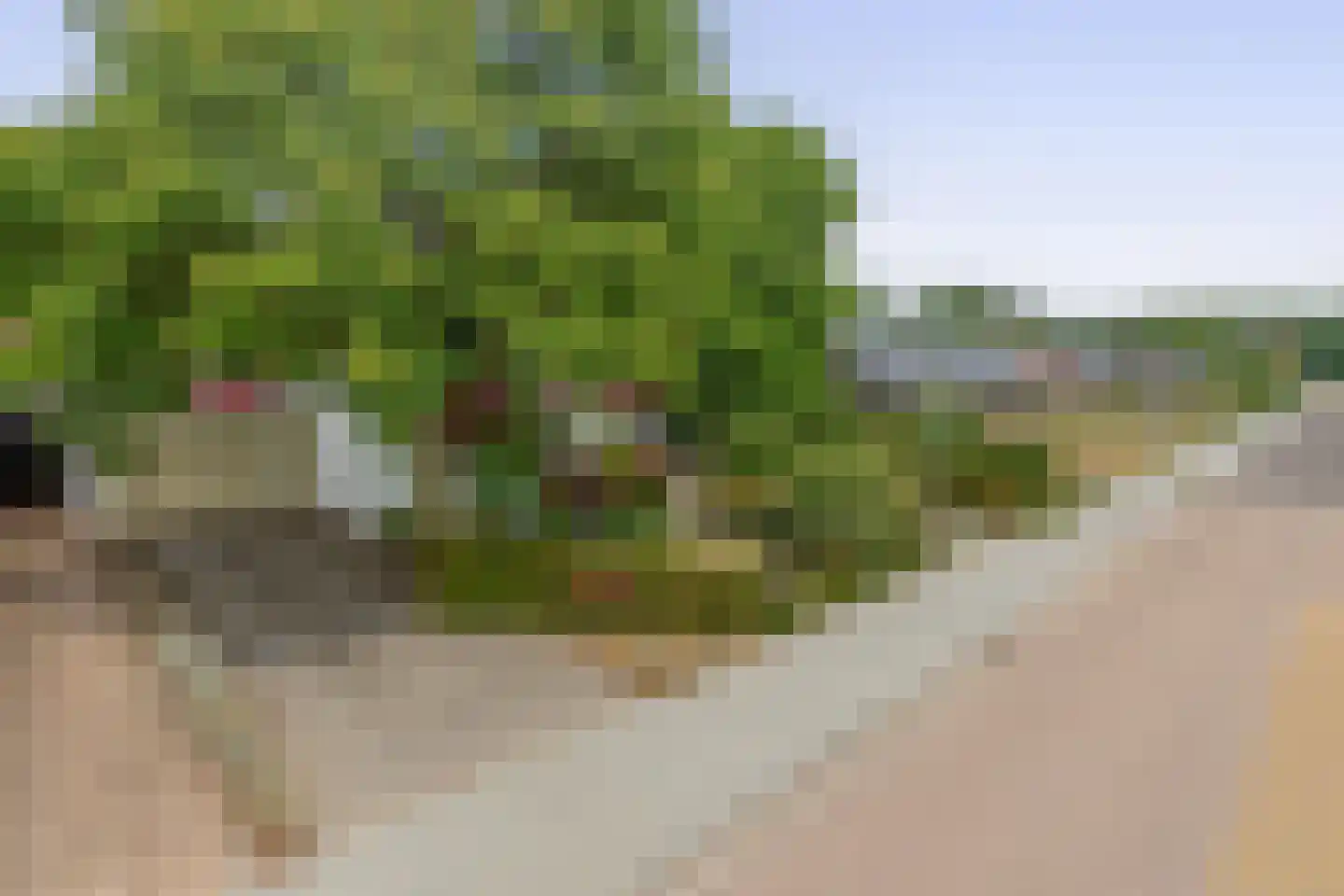 Trimpertstraat 9 Deurne thumbnail 58