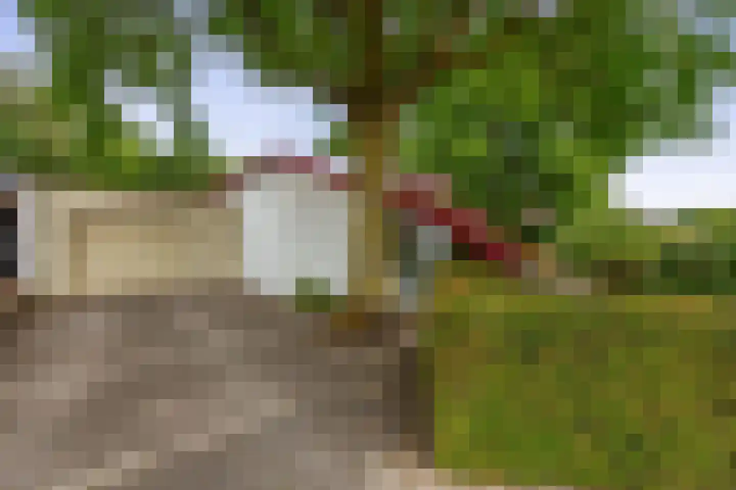 Trimpertstraat 9 Deurne thumbnail 6