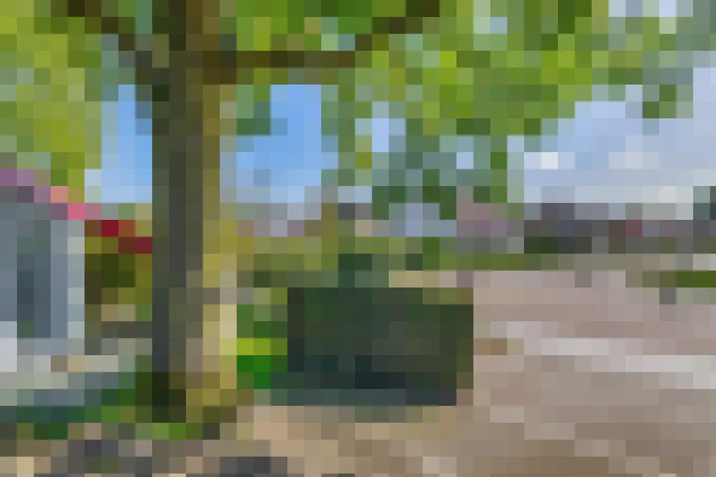 Trimpertstraat 9 Deurne thumbnail 66