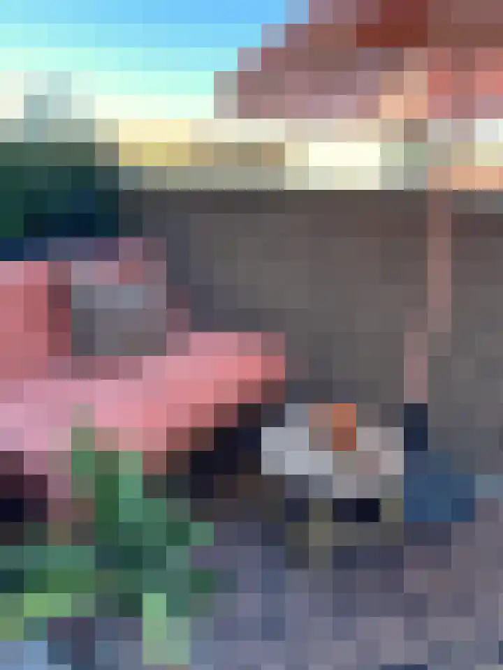 Trimurtistraat 22 Amsterdam thumbnail 10