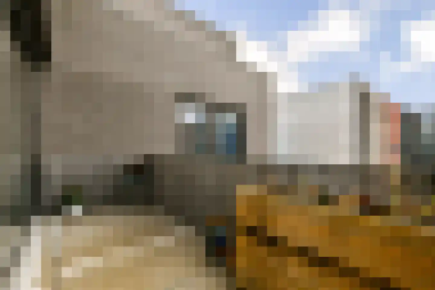 Trimurtistraat 36 Amsterdam thumbnail 15