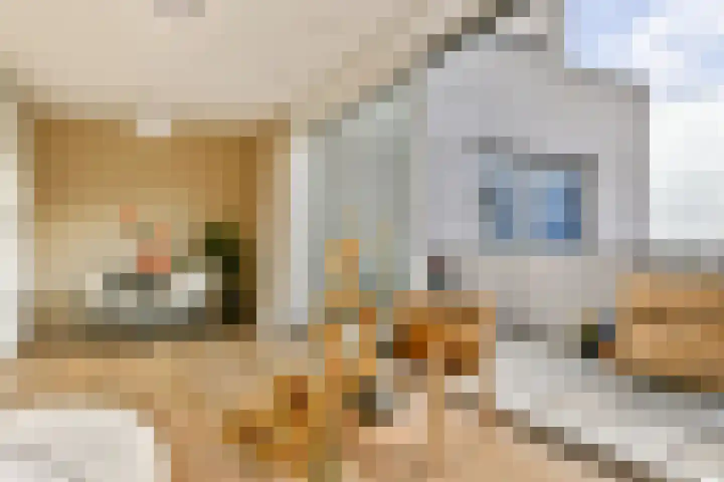 Trimurtistraat 36 Amsterdam thumbnail 9