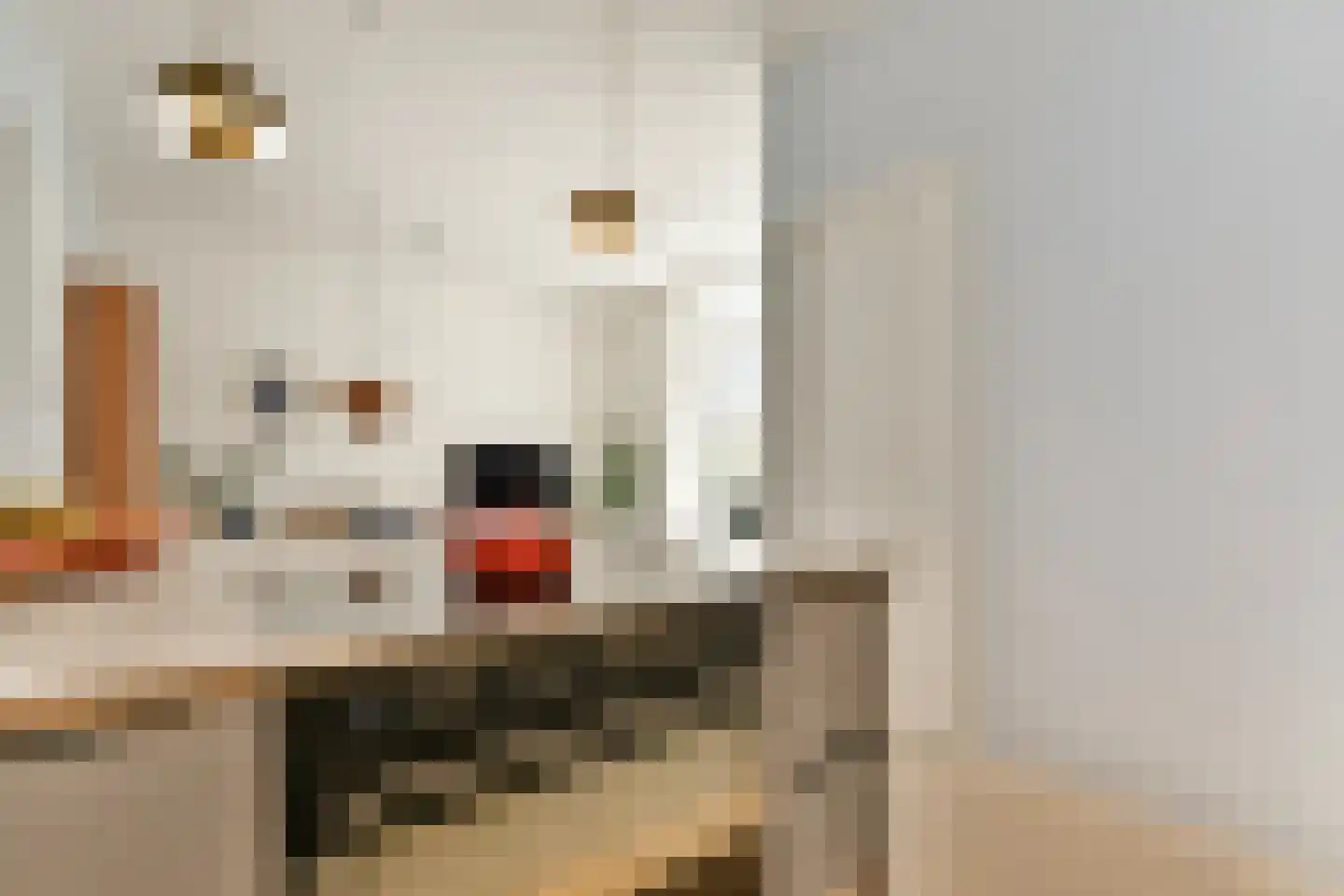 Trimurtistraat 6 Amsterdam thumbnail 17