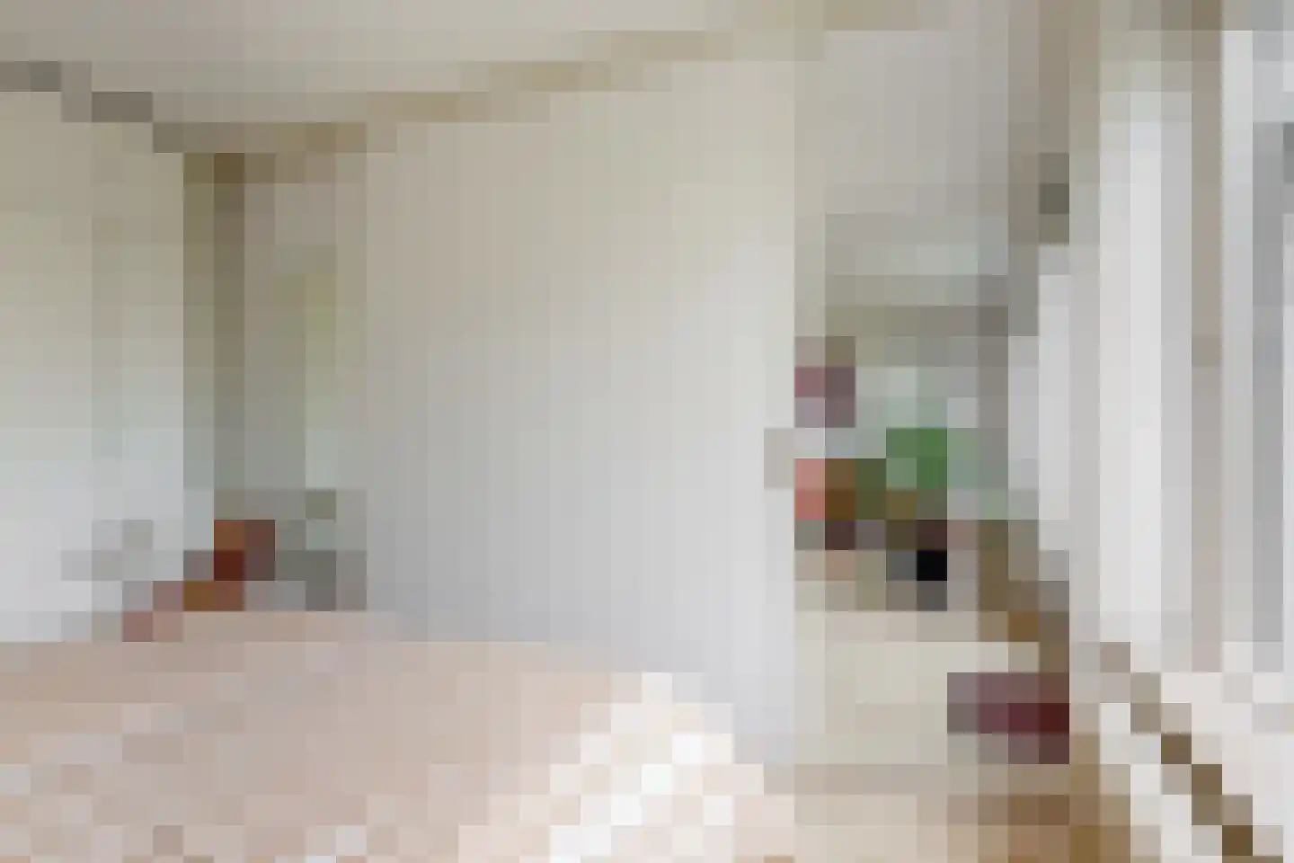 Trinidaddreef 13 Utrecht thumbnail 18