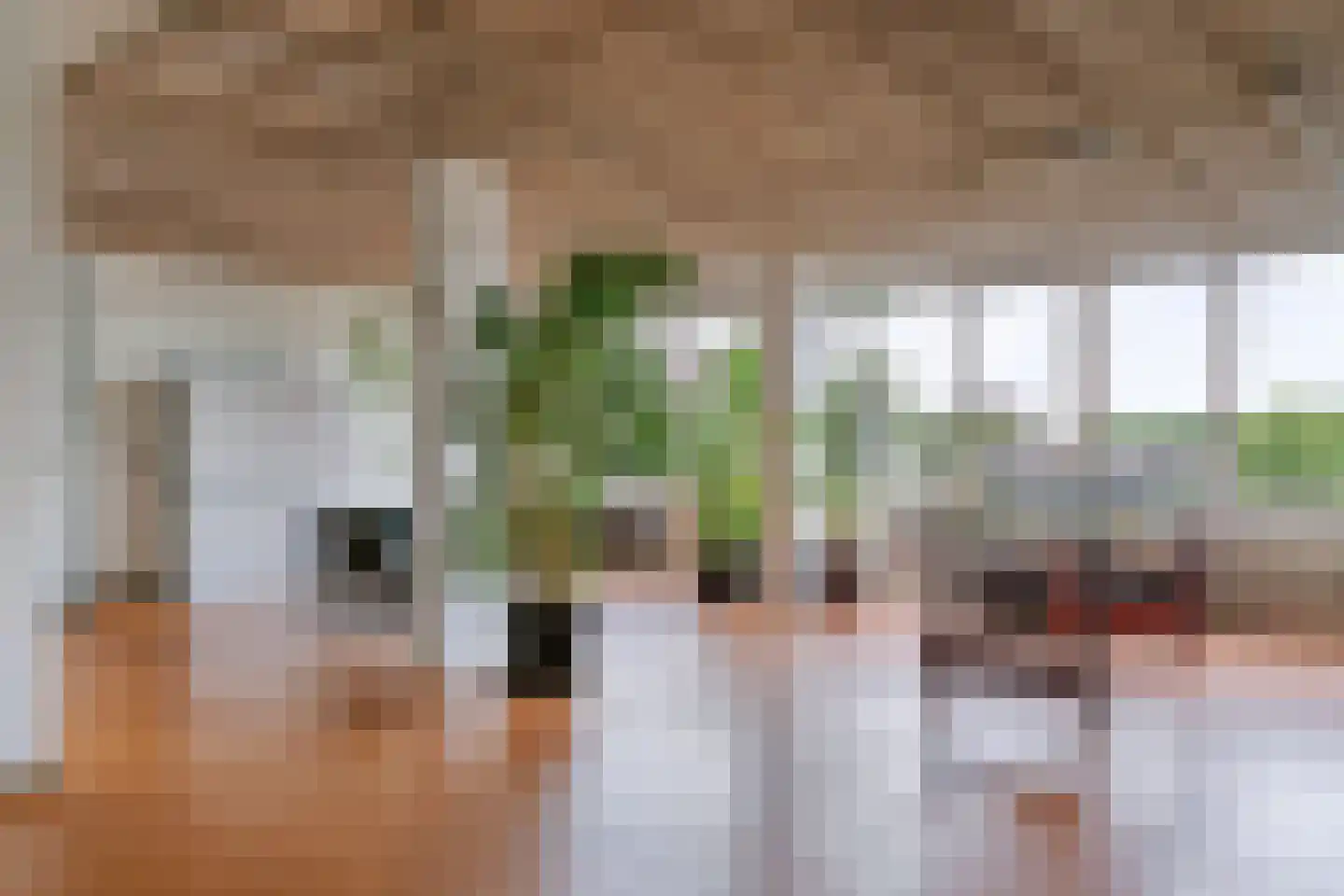 Trinidaddreef 13 Utrecht thumbnail 35