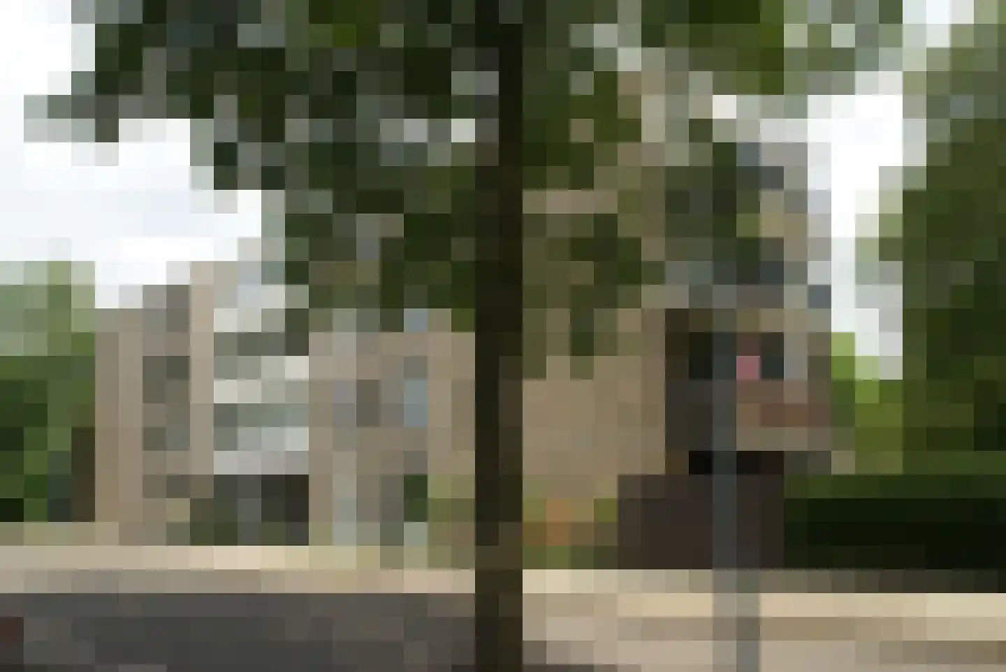Trinidaddreef 13 Utrecht thumbnail 38