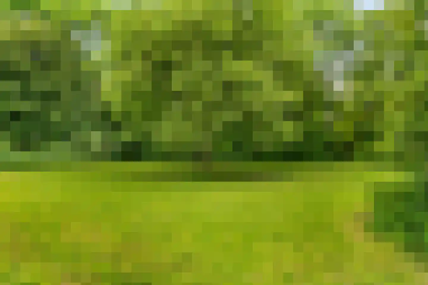 Trinidaddreef 13 Utrecht thumbnail 39