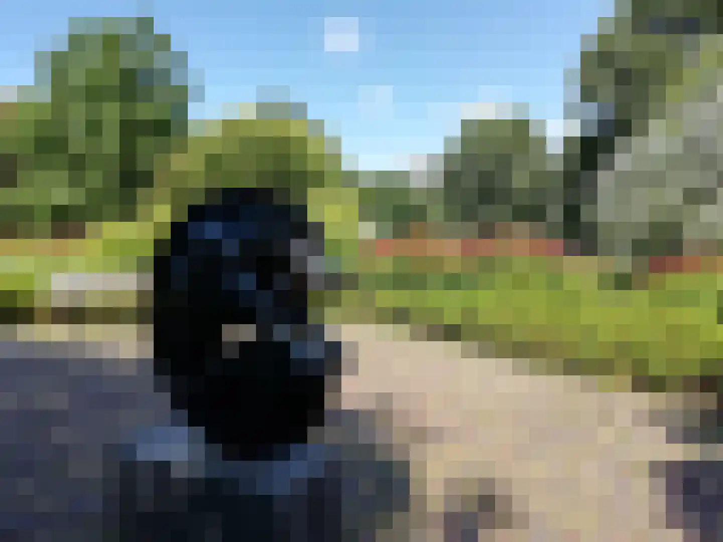 Trinidaddreef 13 Utrecht thumbnail 43