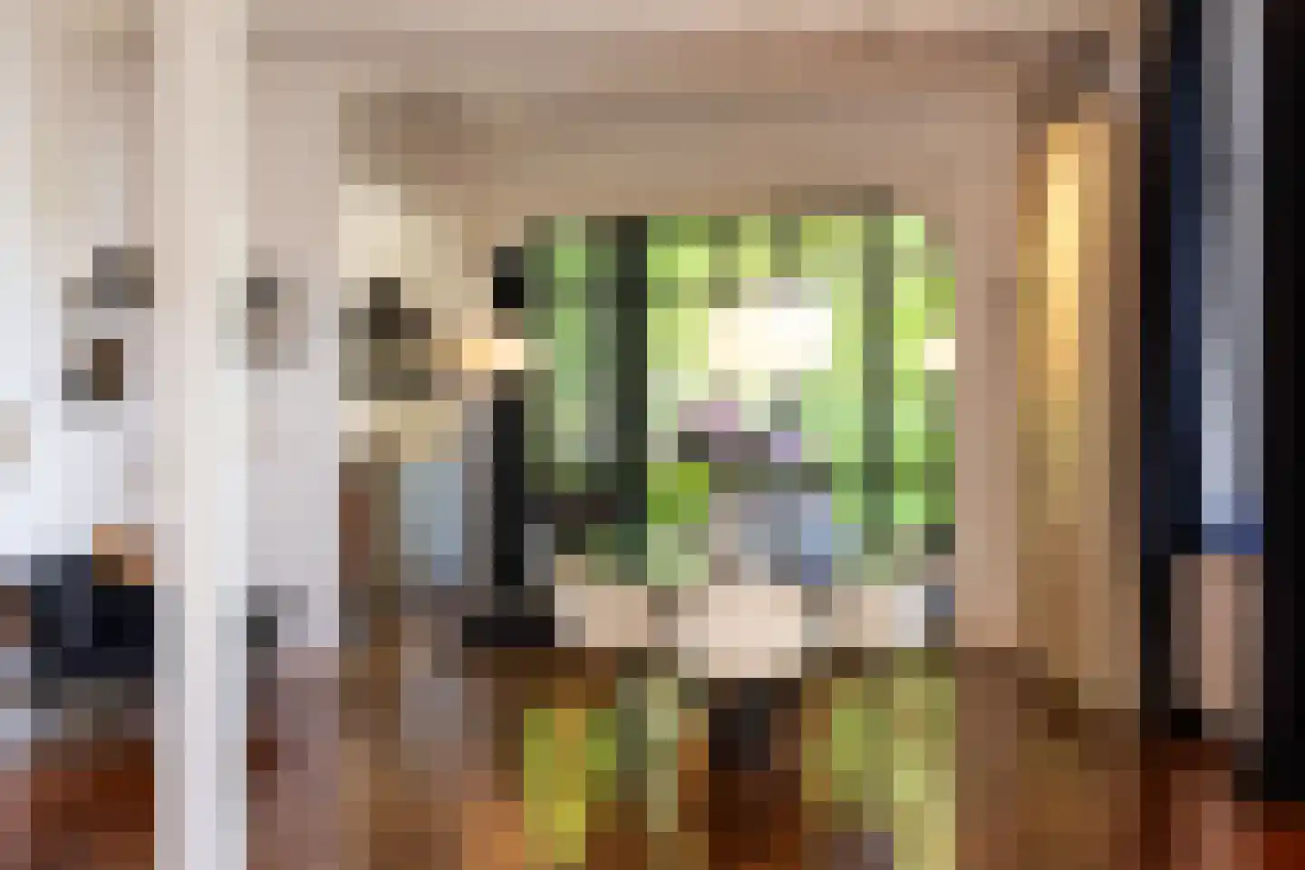 Triniteitstraat 8 's-Hertogenbosch thumbnail 10