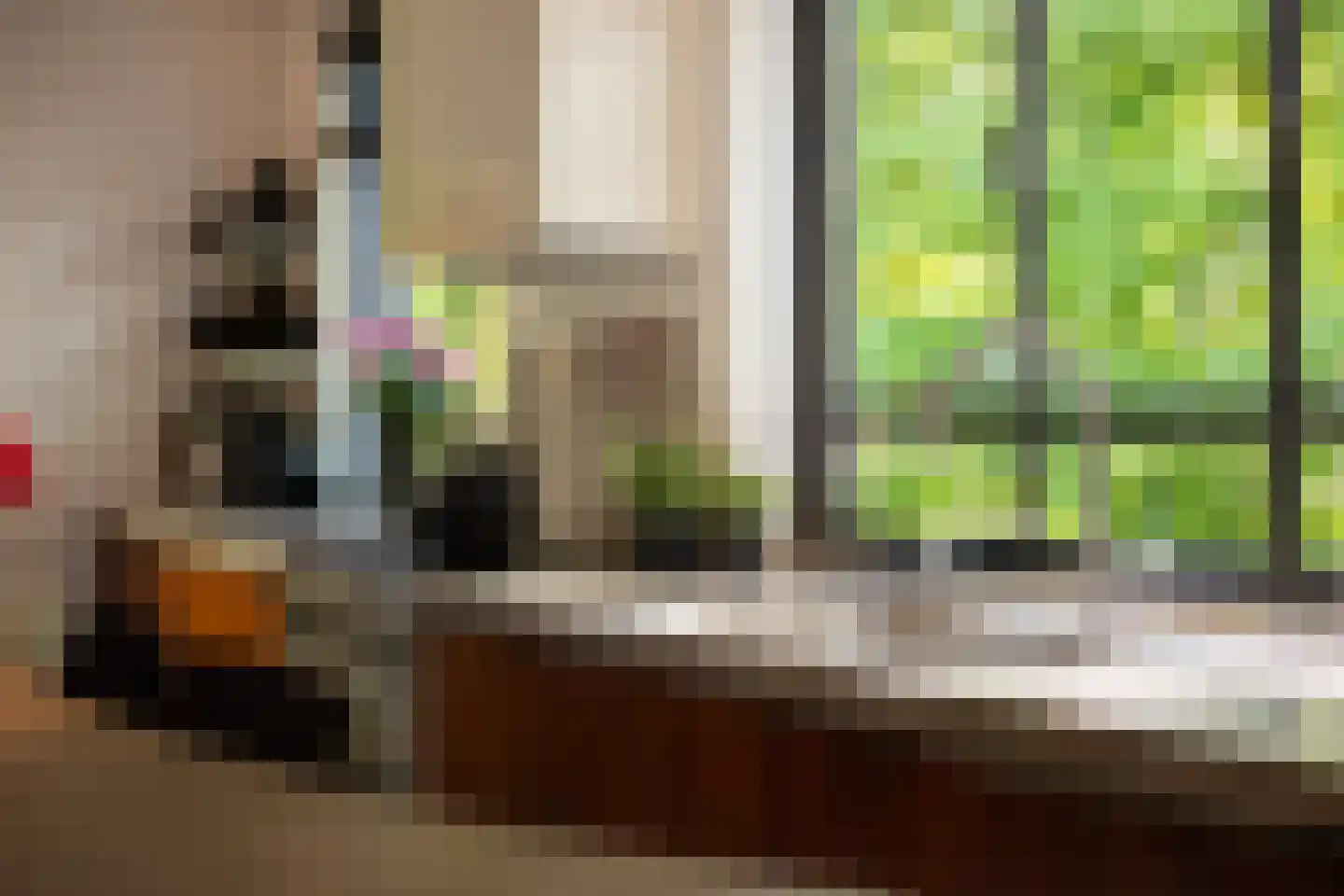 Triniteitstraat 8 's-Hertogenbosch thumbnail 13