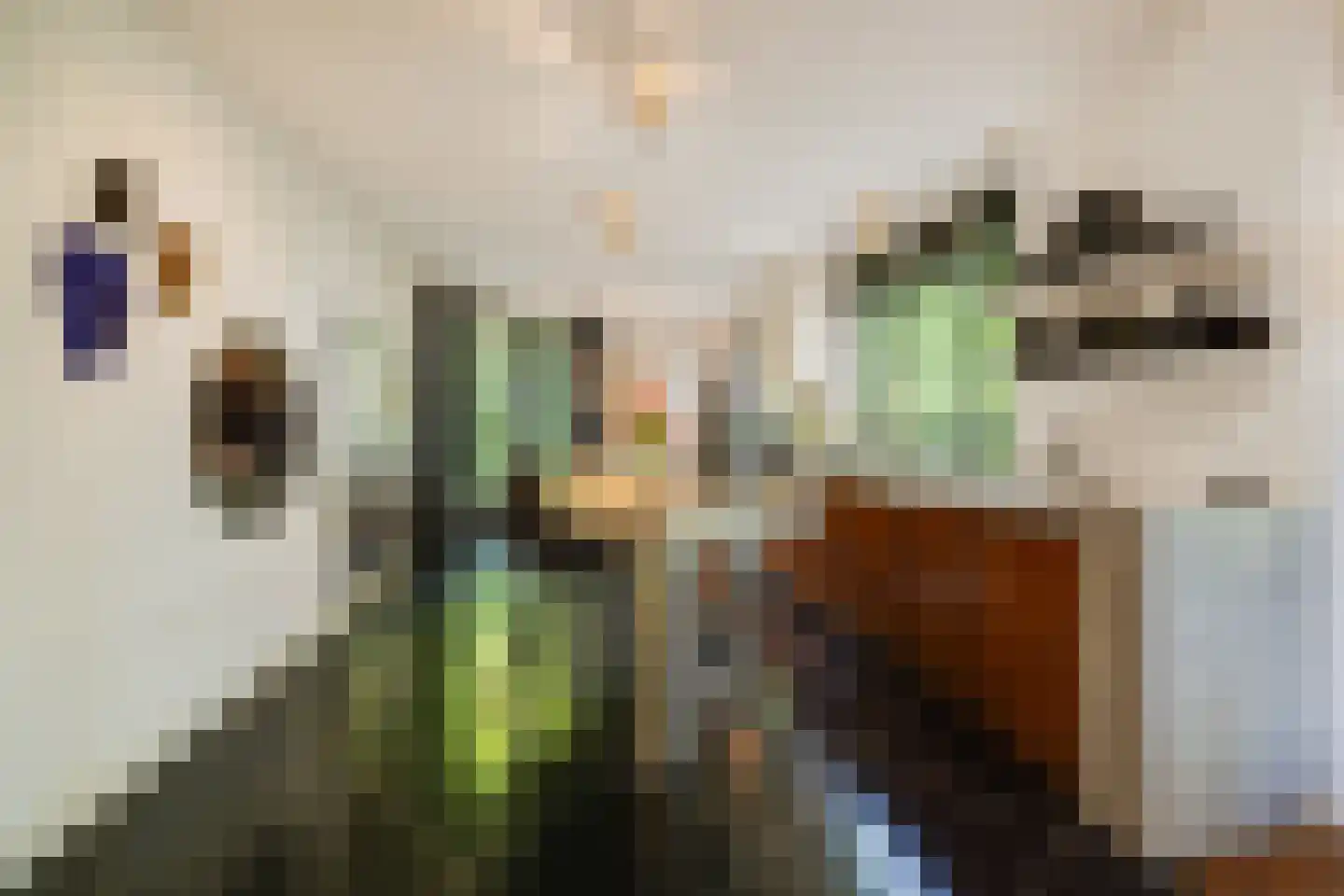 Triniteitstraat 8 's-Hertogenbosch thumbnail 15