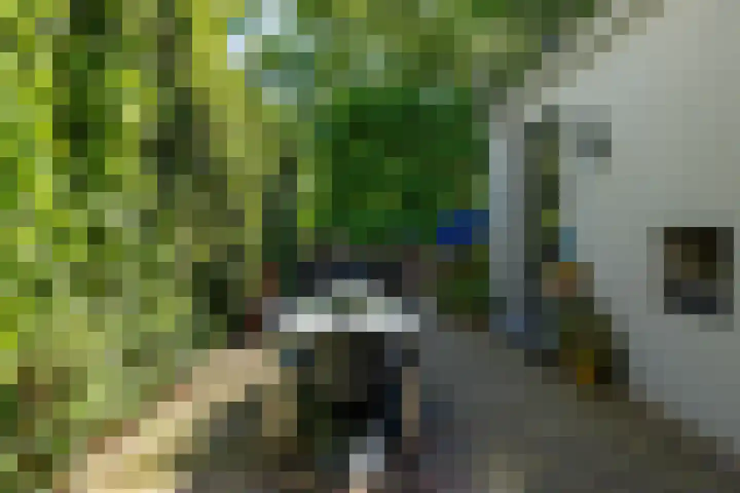 Triniteitstraat 8 's-Hertogenbosch thumbnail 16