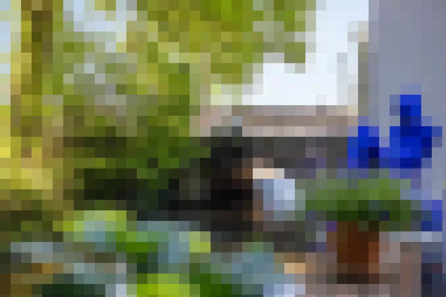 Triniteitstraat 8 's-Hertogenbosch thumbnail 19