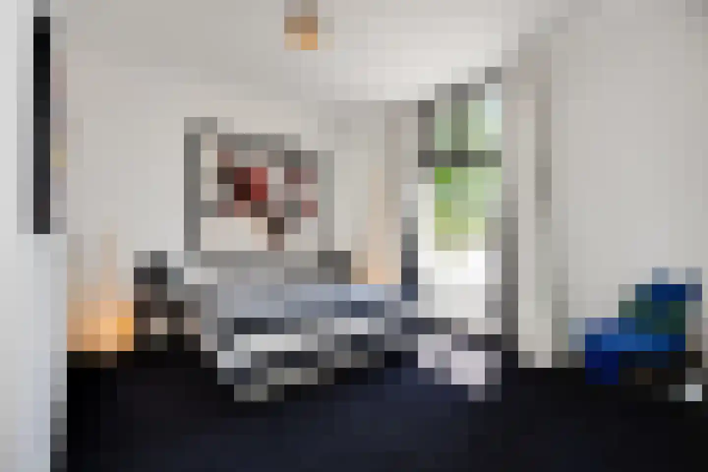 Triniteitstraat 8 's-Hertogenbosch thumbnail 24