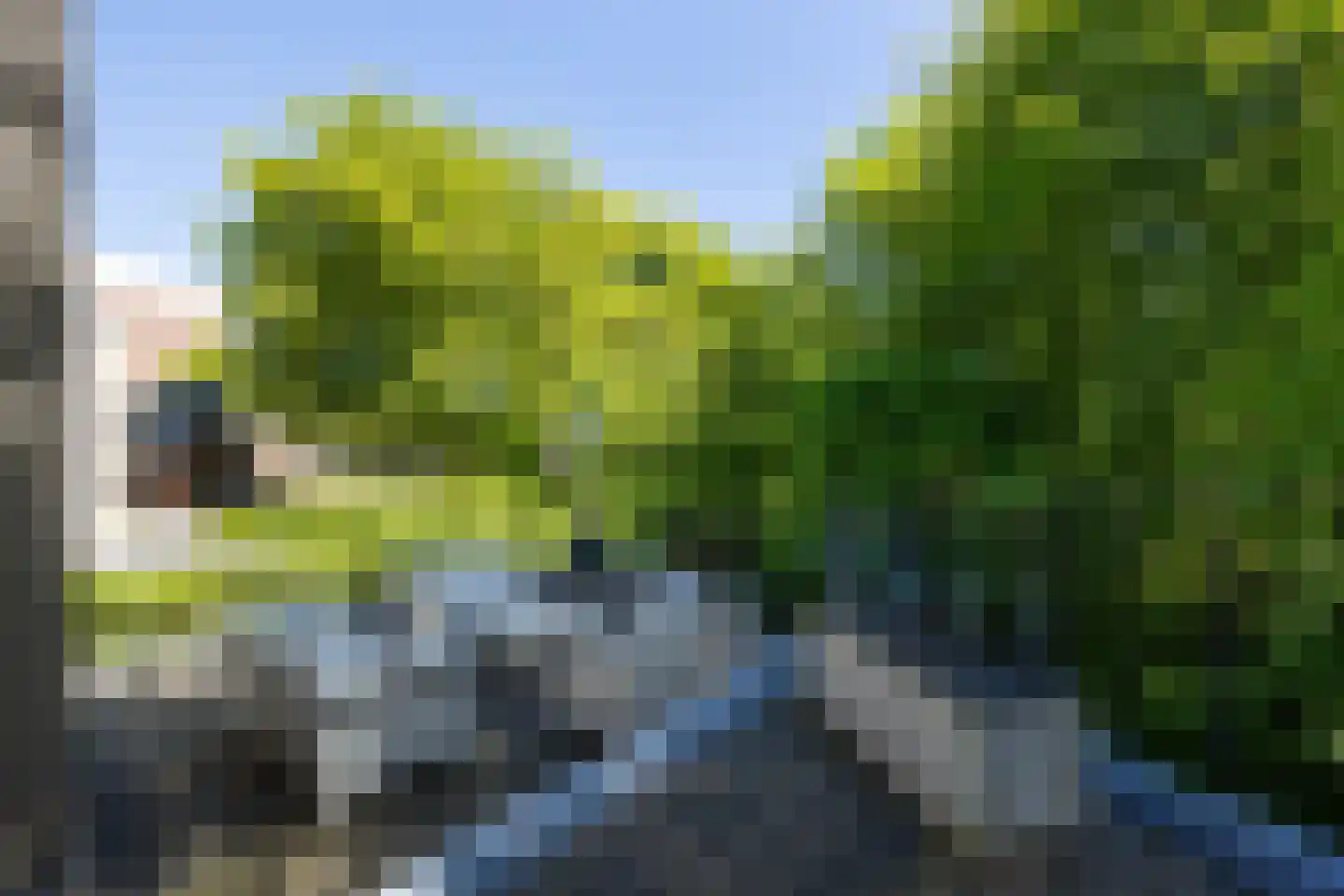 Triniteitstraat 8 's-Hertogenbosch thumbnail 27