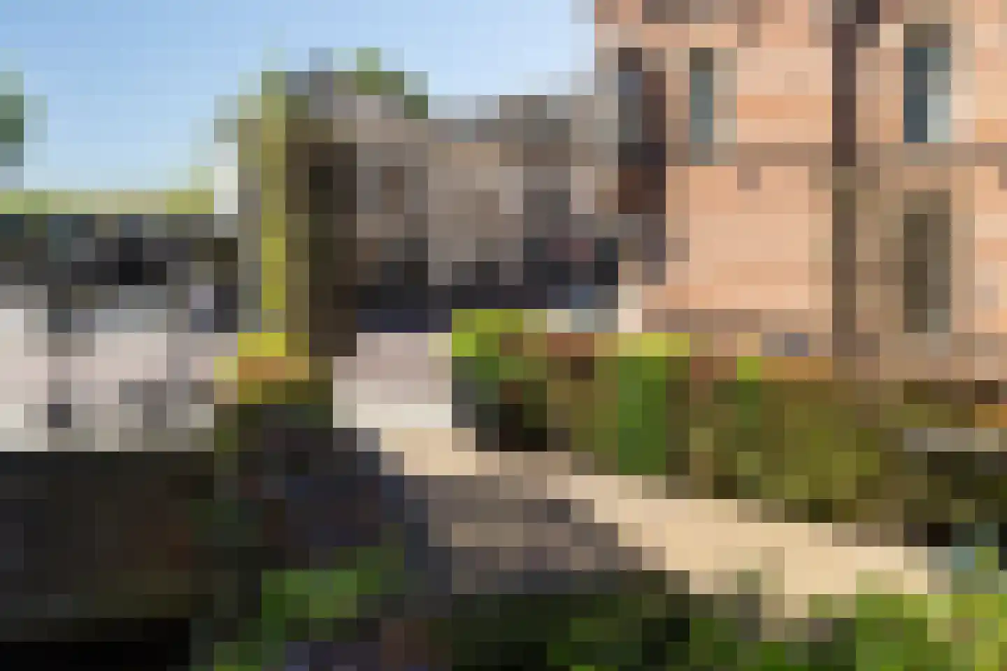 Triniteitstraat 8 's-Hertogenbosch thumbnail 28