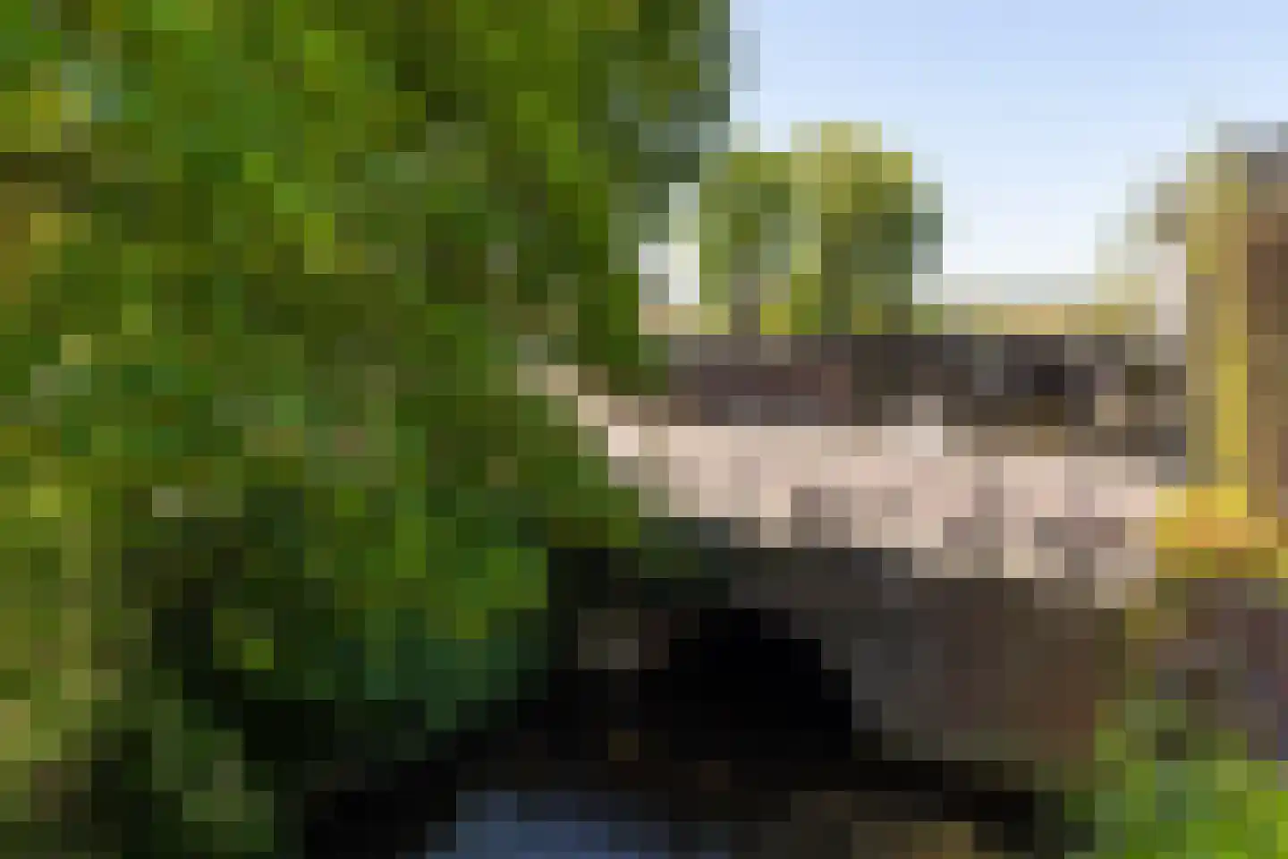 Triniteitstraat 8 's-Hertogenbosch thumbnail 29