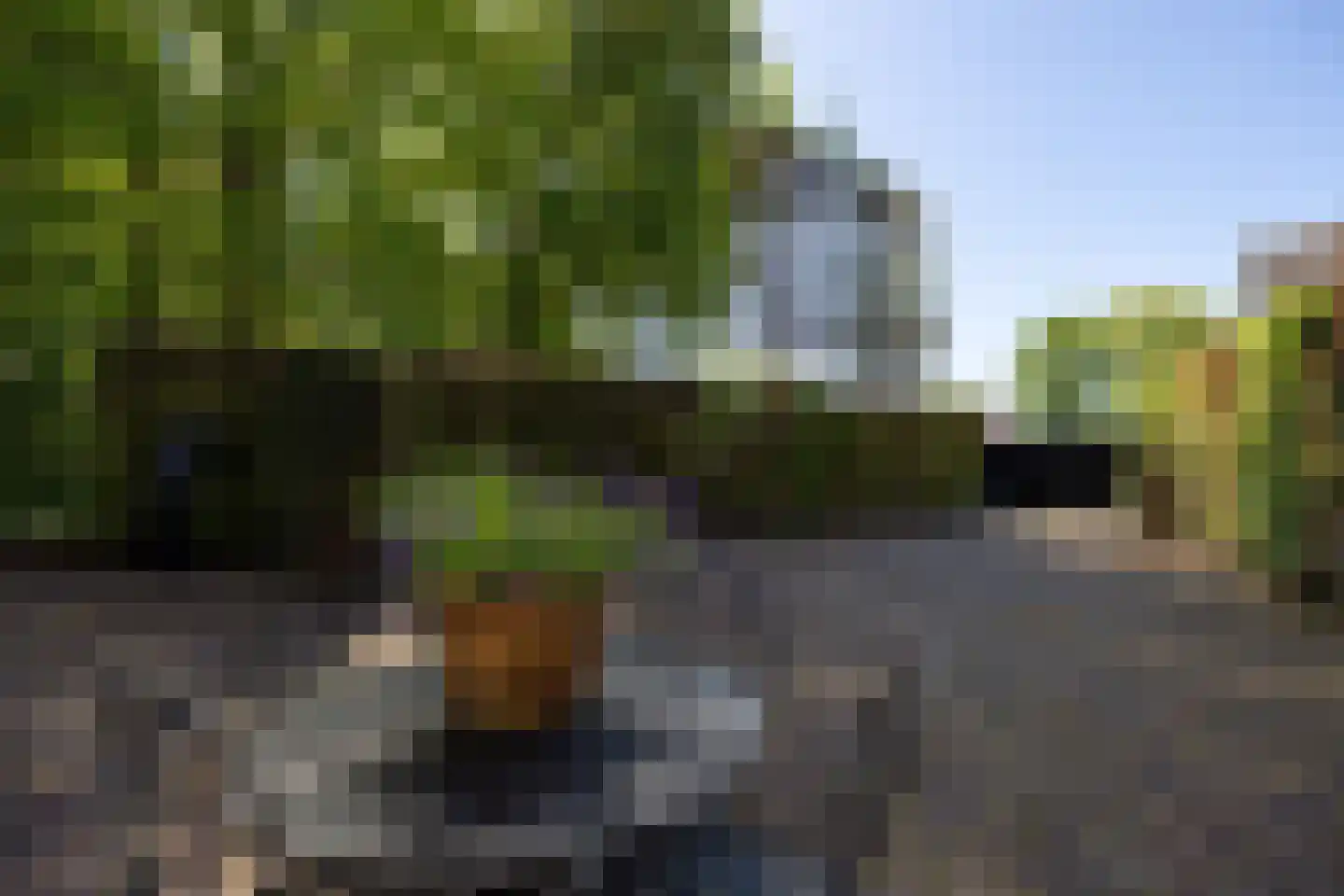 Triniteitstraat 8 's-Hertogenbosch thumbnail 30