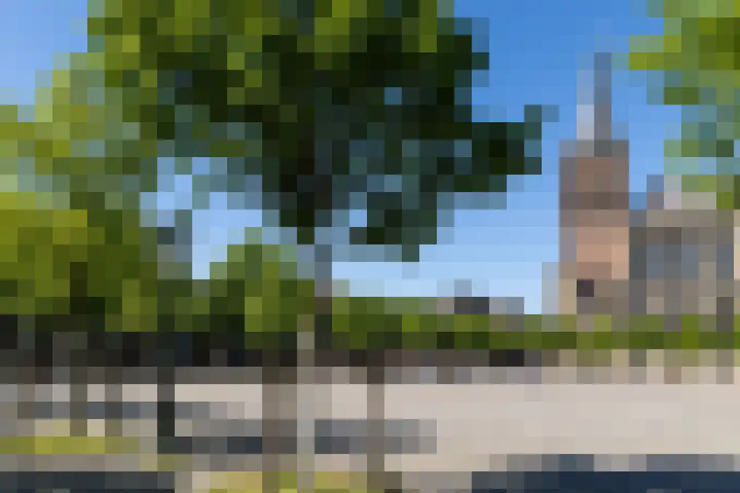 Triniteitstraat 8 's-Hertogenbosch thumbnail 33