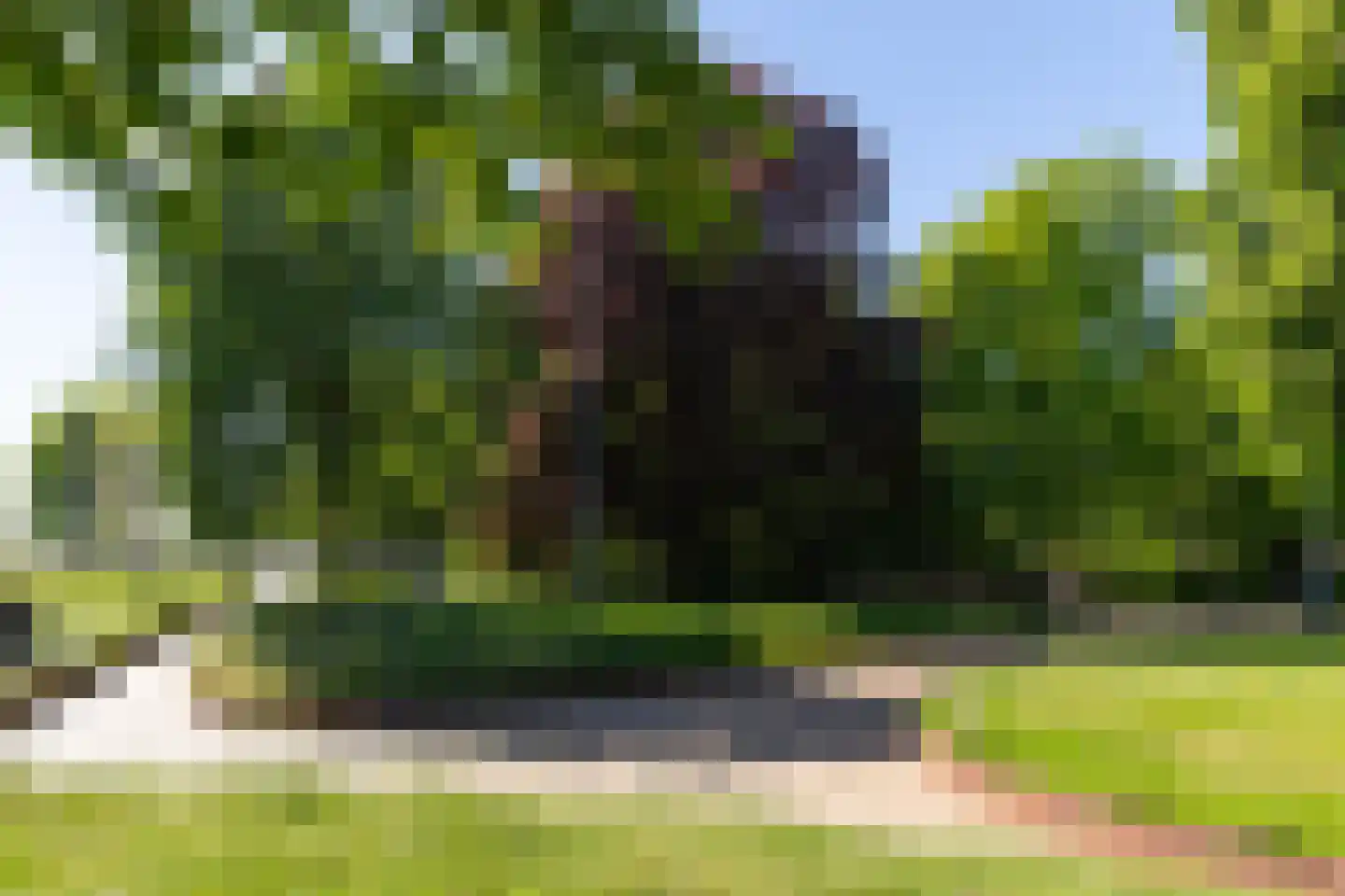 Triniteitstraat 8 's-Hertogenbosch thumbnail 34