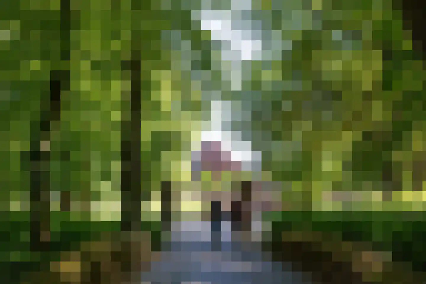 Triniteitstraat 8 's-Hertogenbosch thumbnail 35