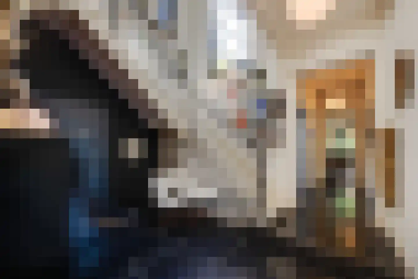 Triniteitstraat 8 's-Hertogenbosch thumbnail 6
