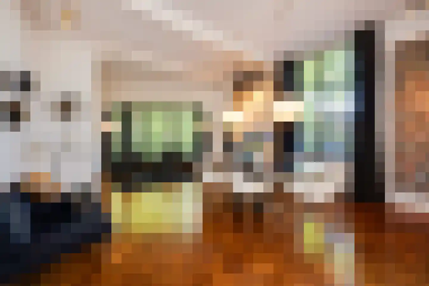 Triniteitstraat 8 's-Hertogenbosch thumbnail 7
