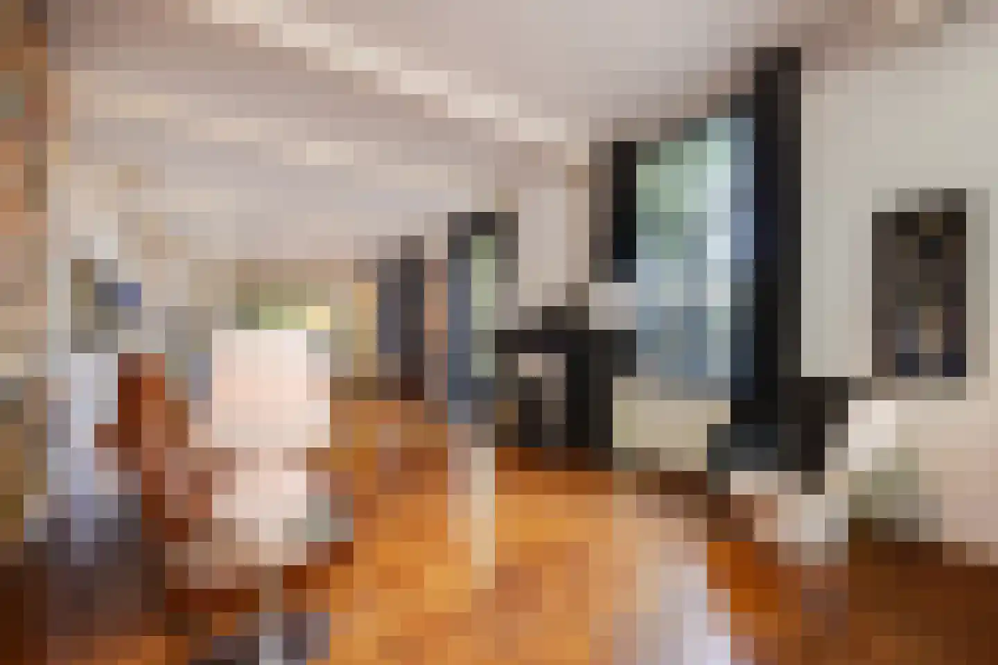 Triniteitstraat 8 's-Hertogenbosch thumbnail 8