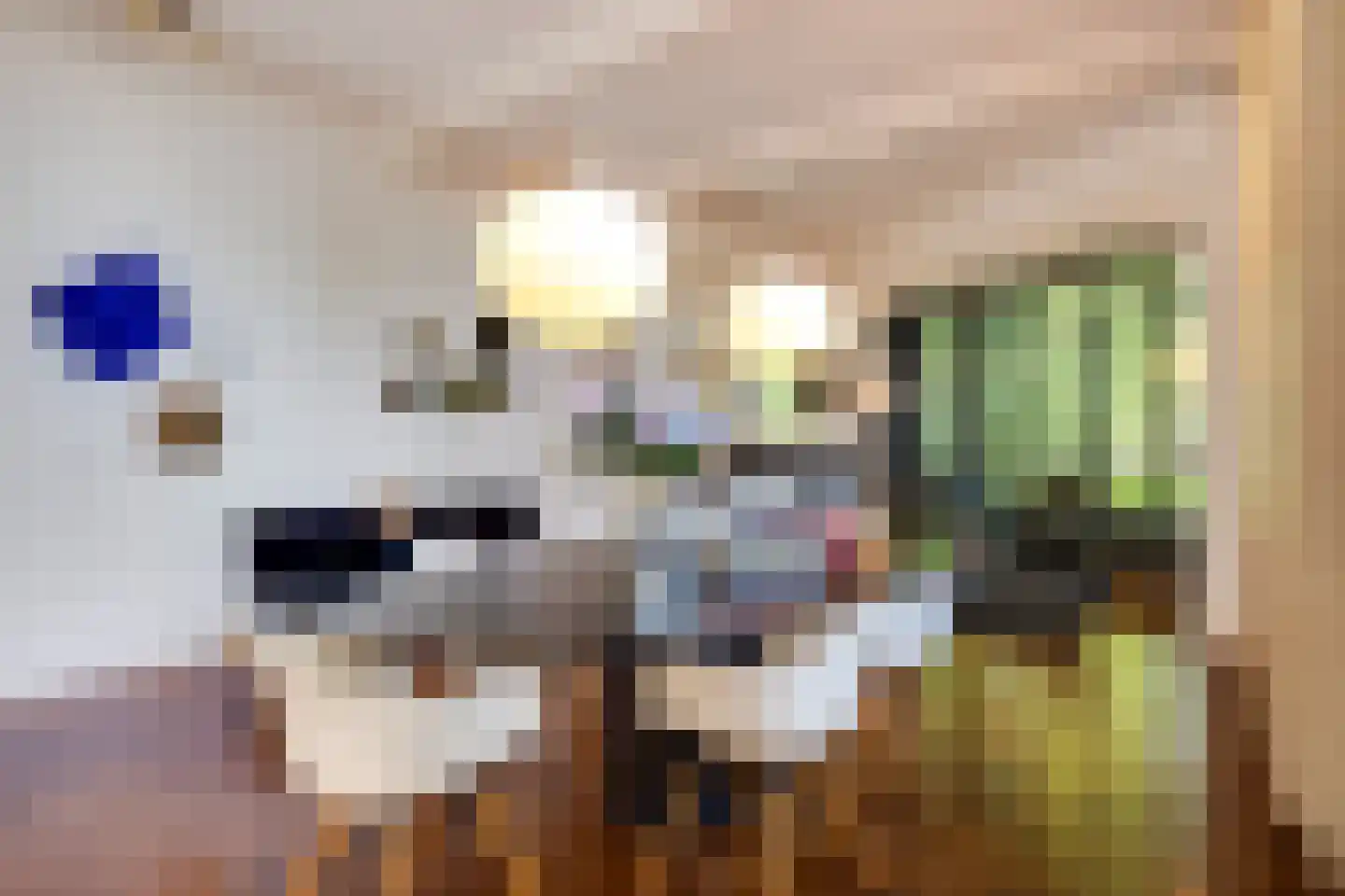 Triniteitstraat 8 's-Hertogenbosch thumbnail 9