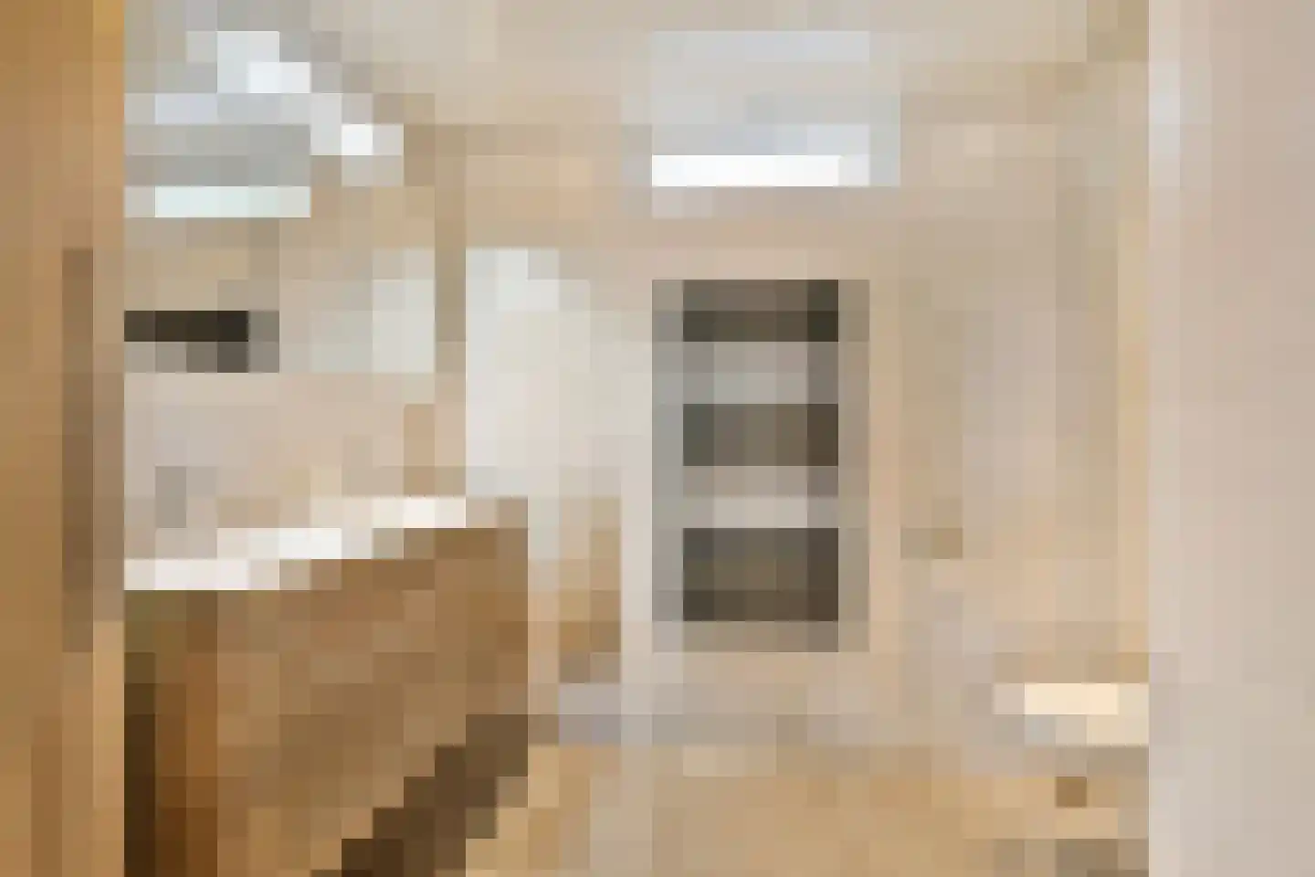 Trintel 121 Monnickendam thumbnail 16