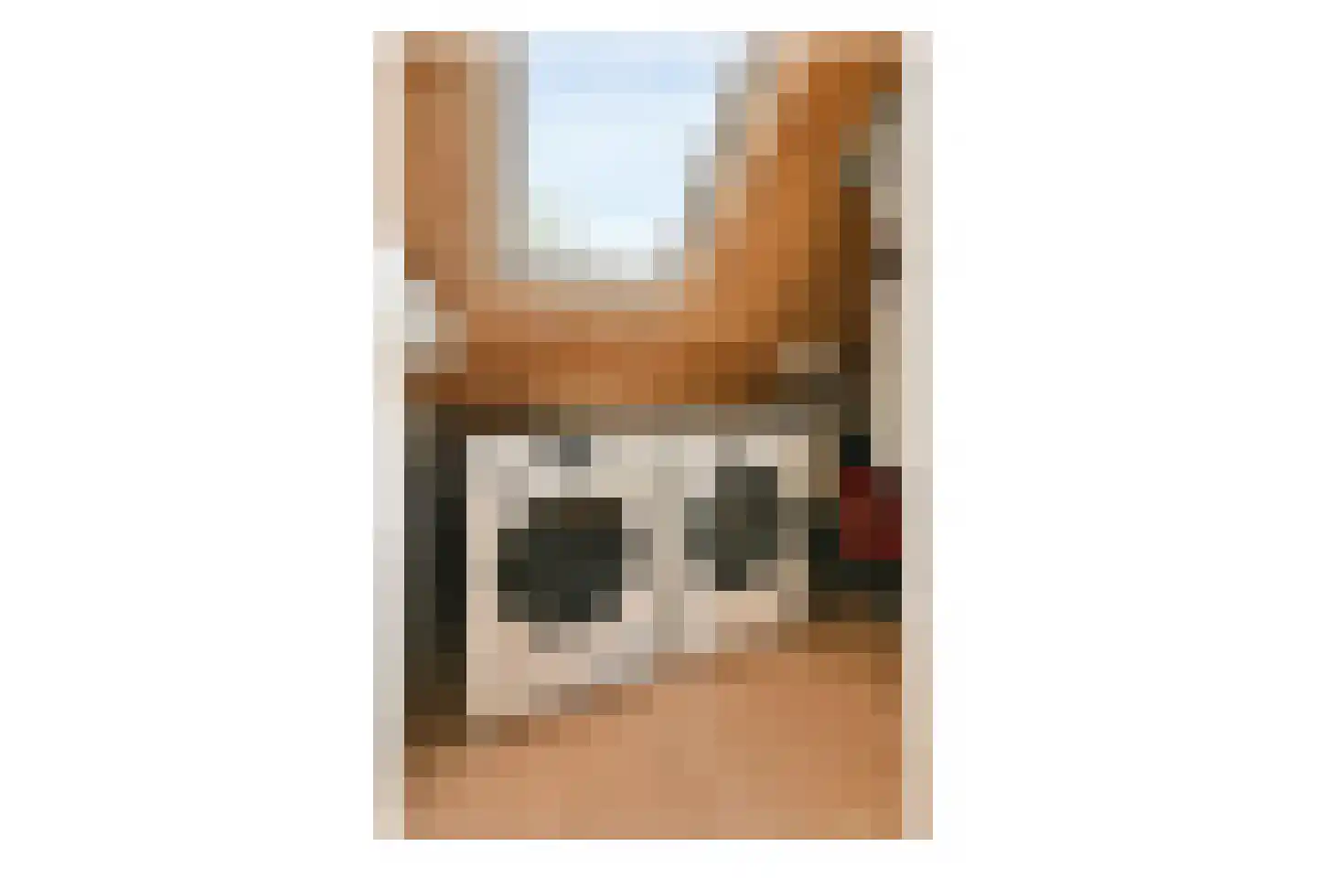 Trintel 121 Monnickendam thumbnail 21